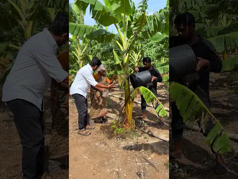 😱இவ்வளவு எல்லாம்  தேவையில்லை🥳#organicfarming
