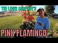 I STOLE THE LCN S PINK FLAMINGO MOW THE WORLD