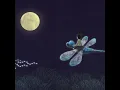 A Whole New World