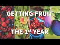 How to Get Fruit the 1st Year Fast Growing Trees