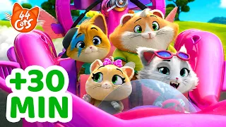 44 Cats | On the Road with the Buffycats! 🚗✨ +30 Minutes