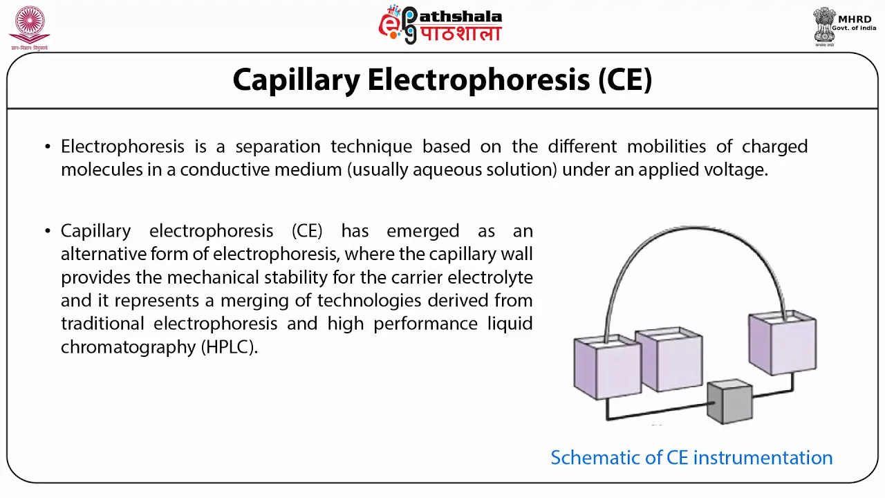 Capillary electrophoresis laser-induced fluorescence detection (CE-LIF)