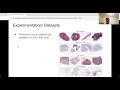SC-MIL Supervised Contrastive Multiple Instance Learning for Imbalanced Classification in Pathology