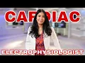 How to Become a Cardiologist Cardiac Electrophysiologist