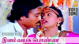 ilam vayasu ponna hd video song paandi nattu thangam karthik ilaiyaraaja