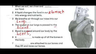 كتاب التدريبات كونكت بلس للصف الرابع الابتدائي Connect Plus Work Book 