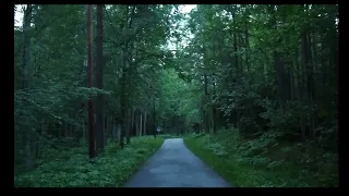 walk with me in nature and listen to birds singing watching the sun rise