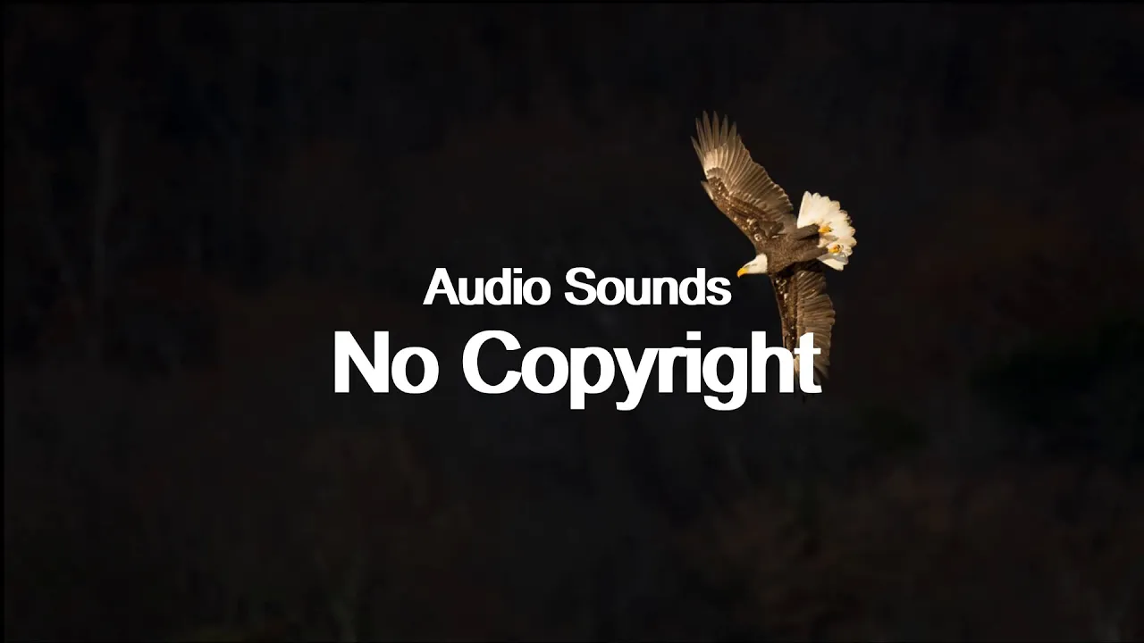 Dragon King- Jo Wandrini (Vlog No Copyright Music) Dragon King- Jo Wandrini (Vlog No Copyright Music)