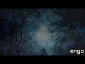 Forces of Nature | Chill Mix