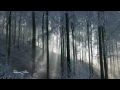 Download Lagu André Rieu - When Winter Comes...