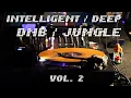 Lagu Intelligent DNB / Deep Jungle mix vol. 2
