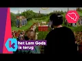 Download Lagu het Lam Gods hangt terug in de Sint-Baafskathedraal