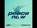 Peace Now (Folamour Remix)