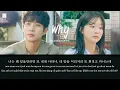 [Vietsub - Hangul - Easy Lyrics] Why (Prod. 남혜승) - Janet Suhh | Our Beloved Summer OST - Part 6