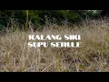 Lagu Gayo Kalang Siki Supu Serule 4K Video