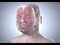 Cleveland Clinic s First Total Face Transplant Katie Stubblefield Step by Step