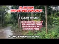 PROPERTY 96 1 9 HECTARES PHP 303 PER SQM ONLY PRODUCTIVE FARM CLEAN TITLES