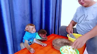 Mother cooking meals for small Monkey  #monkey