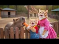 Lagu 😿🍰 From Baking Together to Zoo Dreams — Mama Cat \u0026 Ginger Kitten Work Hard for a Happy Day Out 🐱❤️🦁
