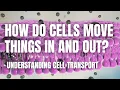 Cell Transport How Cells Move Materials In and Out Middle School Science