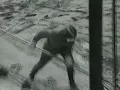 liquidators of chernobyl