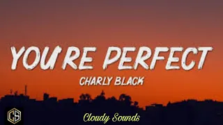 Download Charly Black - You're Perfect (Lyrics) \ MP3