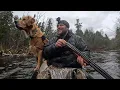 Lagu Michigan Waterfowl \u0026 Whitetail Deer Hunting Adventure 