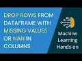 04 Drop rows from Pandas dataframe with missing values or NaN in columns