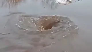 allahu akbar allah mai iko