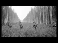 SÄKKIJÄRVEN POLKKA (INSTRUMENTAL)