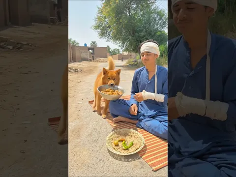 Ek dog ne gareeb ki madad ki