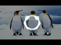 Download Lagu DJ PINGUIN FULL BASS ¦ JOEL HAMLET