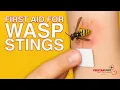 First Aid for Wasp Stings