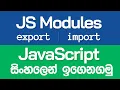 JavaScript Modules import export statements in Sinhala