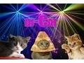 Lagu DJ-CAT (RandomVideo)