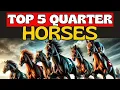 The 5 Greatest Quarter Horses of All Time - Do You Agree