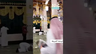 ما بين بيتي ومنبري روضة من رياض الجنة 