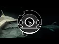 Kromuh - No Peace