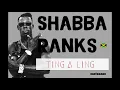 Shabba Ranks - Ting A Ling (Dancehall Lyrics provided by Cariboake The Official Karaoke Event)
