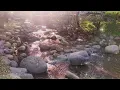 Kumpulan Kompilasi Lagu Timur 2025 Tabola Bale Viral Tiktok | Ngapain Repot | stecu stecu Viral