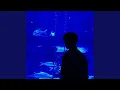 Download Lagu Still Fall In Love