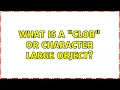 What is a clob or Character Large Object