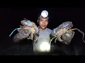 Download Lagu Berburu kepiting raksasa di malam hari || dapat banyak 🦀🦀 MP3