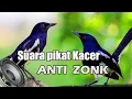 Download Lagu Suara pikat kacer anti zonk ampuh 100% memanggil kacer liar.