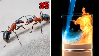 Testando os 7 EXPERIMENTOS mais BIZARRAS da INTERNET!