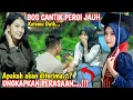 BOS CANTIK PERGI JAUH AJUDAN MALAH BERTEMU DWIK DAN TERNYATA INI YANG TERJADI APAKAH AKAN KEMBALI..?