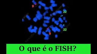 FISH - Hibridização In Situ Fluorescente - DNA Brilhante!