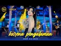 Download Lagu KARENA PENGALAMAN - Arneta Julia Adella - OM ADELLA