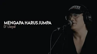 why we have to meet d lloyd country blues cover himawan resi 