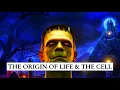 Download Lagu The Origin of Life and The Cell